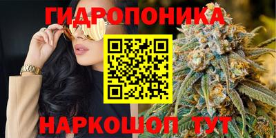 эйфоретик Камышлов
