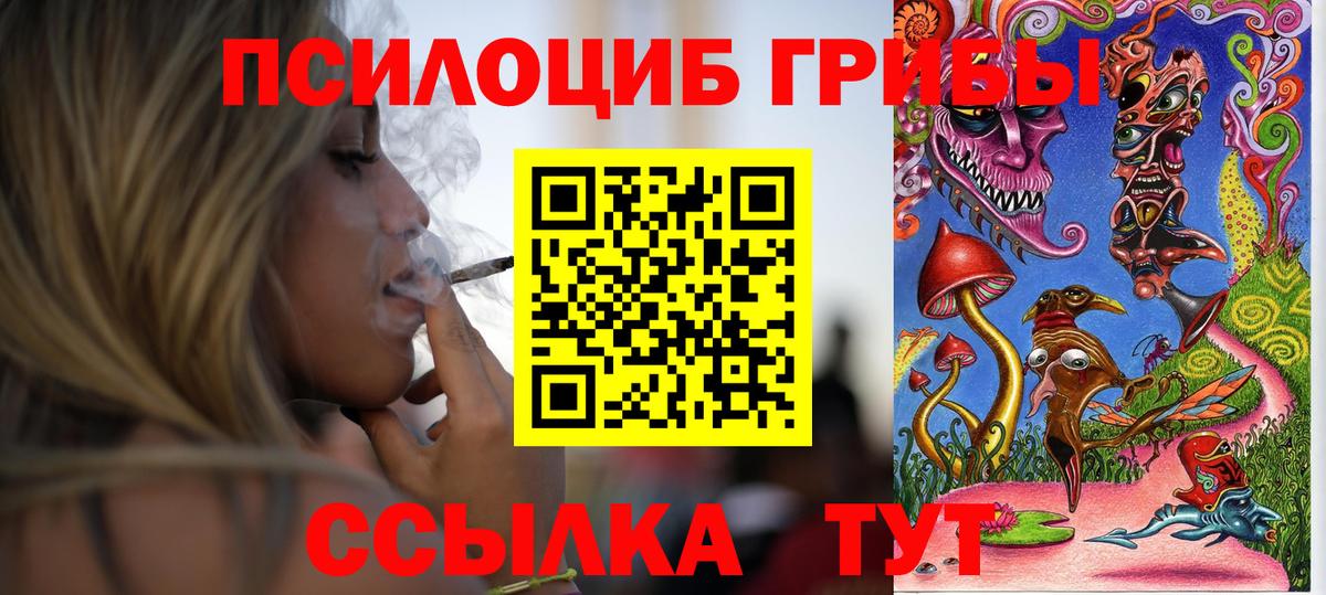 Куйбышев  Галлюциногенные грибы Cubensis  Вход с VPN 
