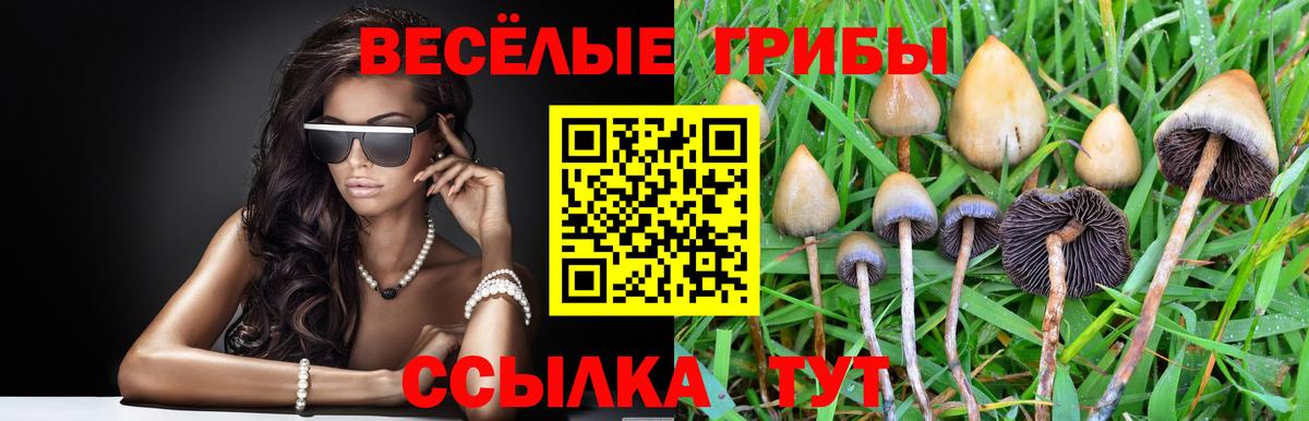 Псилоцибиновые грибы MAGIC MUSHROOMS Куйбышев