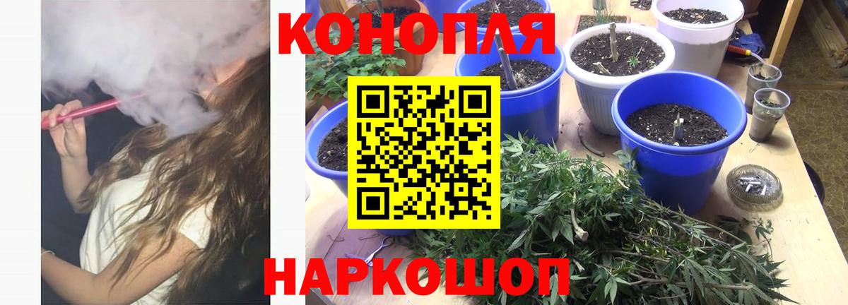 Канабис ГИДРОПОН Куйбышев